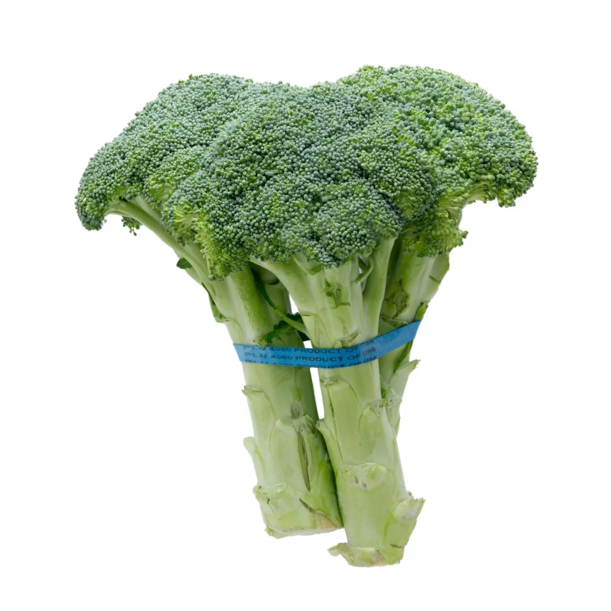 Broccoli Bunch